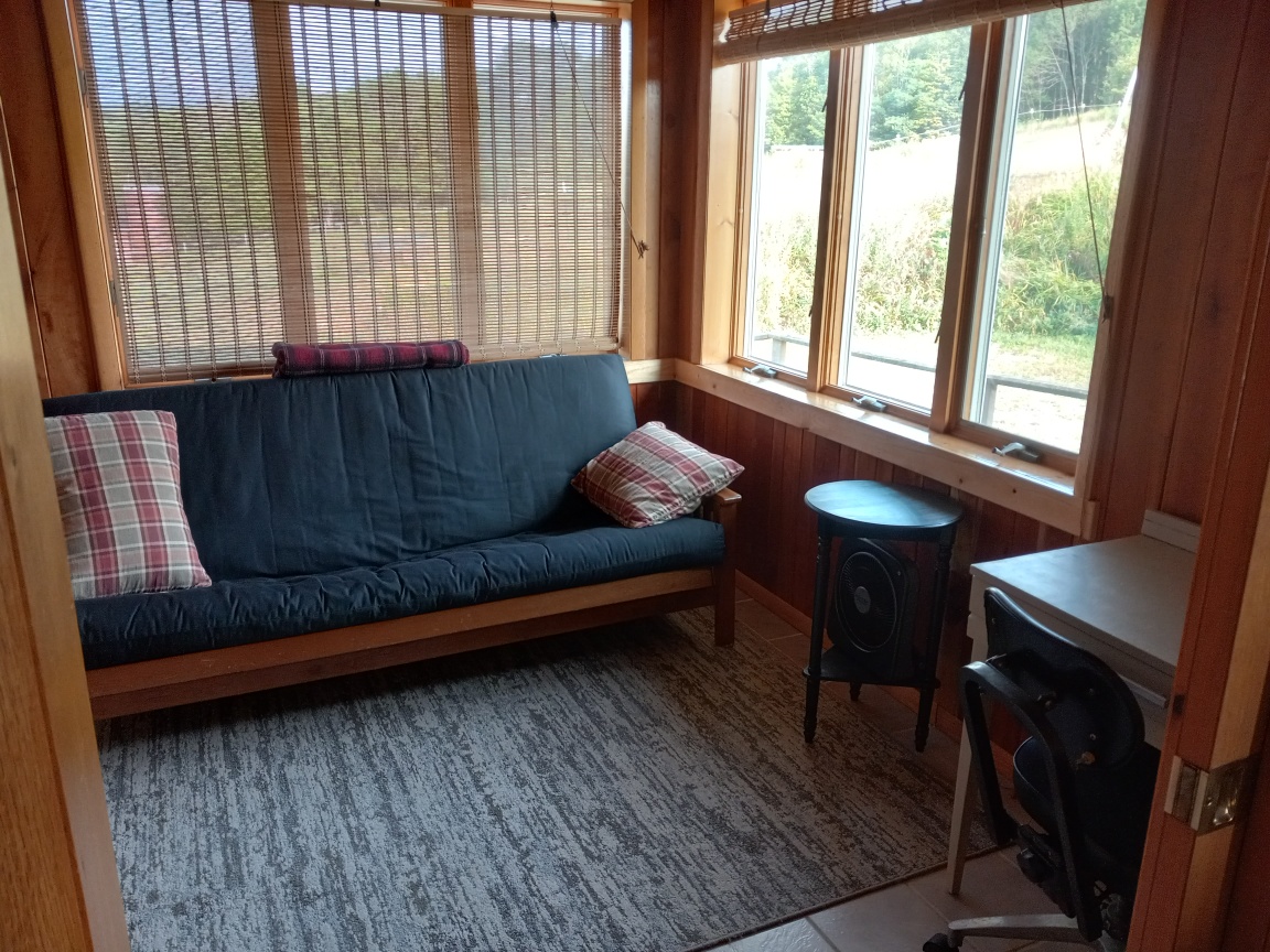 Study room with desk and futon.